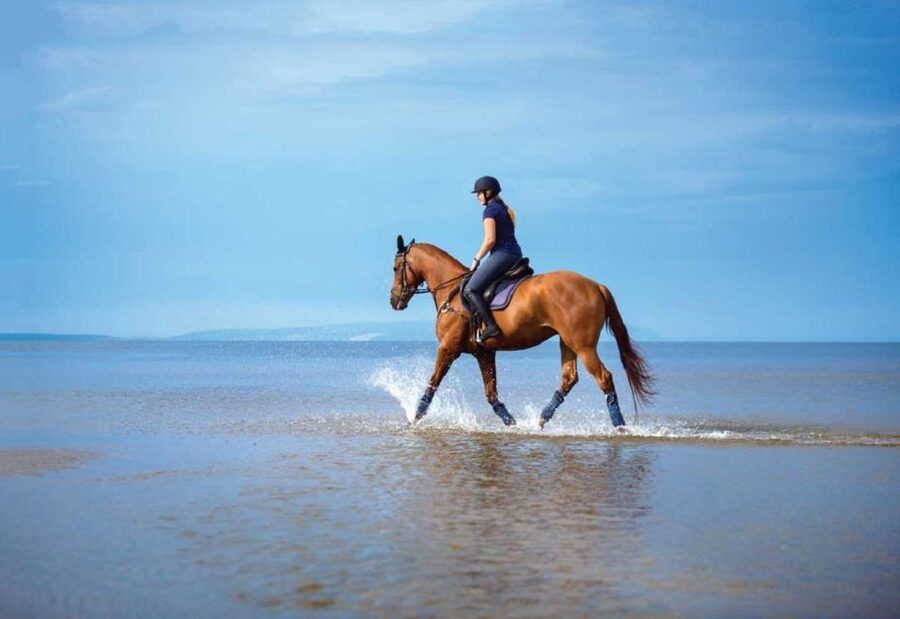 Pokhara: 1-Hour Horseback Ride with Hotel Pickup - Why the one-hour length can work