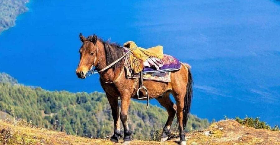 Pokhara: 1-Hour Horseback Ride with Hotel Pickup - The first minutes in the saddle