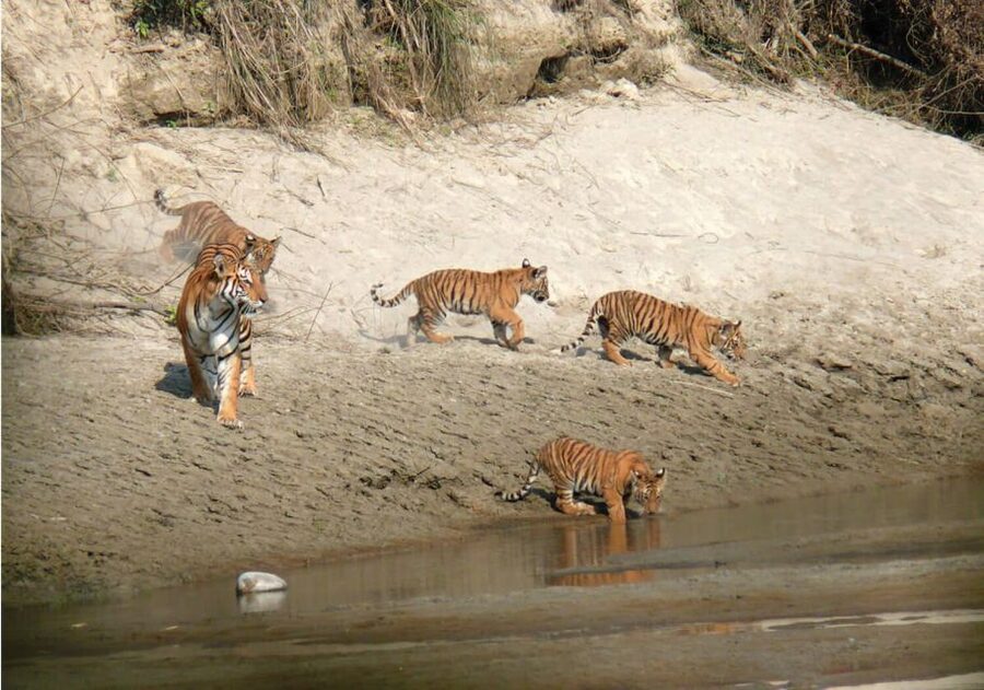 Pokhara: 1 Night 2 Day Chitwan Safari Tour - The 7am departure and the road to Chitwan