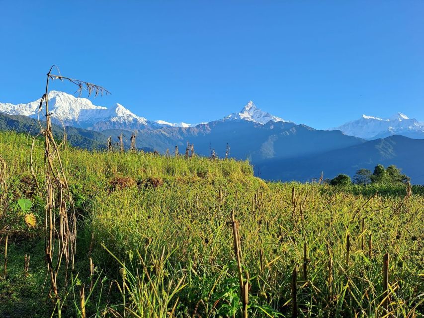 Pokhara: 2-Day Australian Camp & Dhampus Village Easy Hike - Australian Camp at 2,050 meters