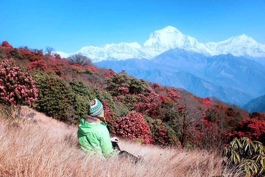 Pokhara: 2 Day Ghorepani & Poon Hill Private Trekking - Day one: from Pokhara to Ghorepani by road and trail