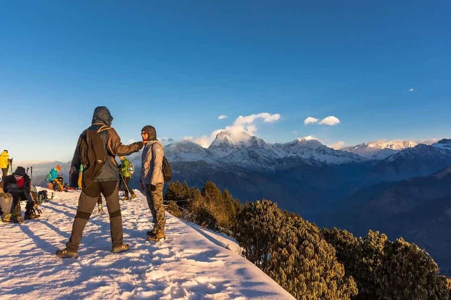 Pokhara: 2-Day Ullerai, Ghorepani & Poon Hill - Sunrise Trek - The forest walk from Ulleri to Ghorepani