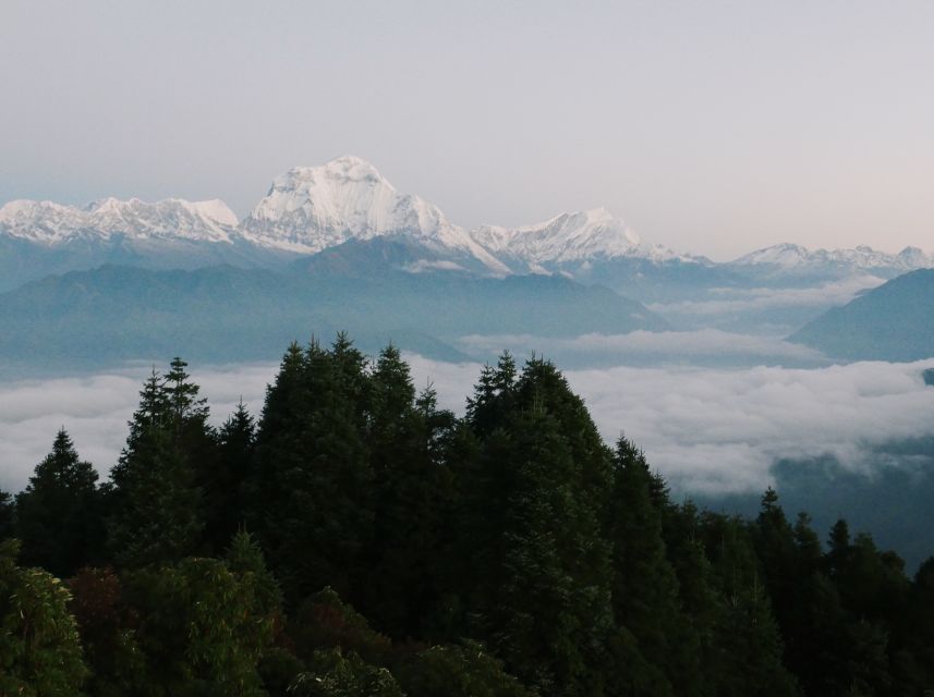 Pokhara: 3-Day Ghorepani and Poon Hill Trek - Day three: Poon Hill sunrise and the return to Pokhara