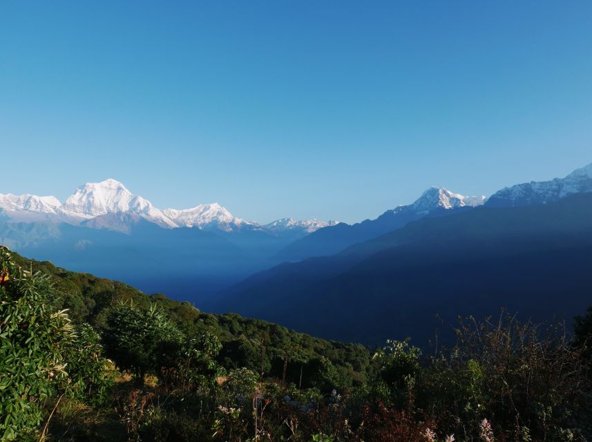 Pokhara: 3-Day Ghorepani and Poon Hill Trek - Who should choose this trek