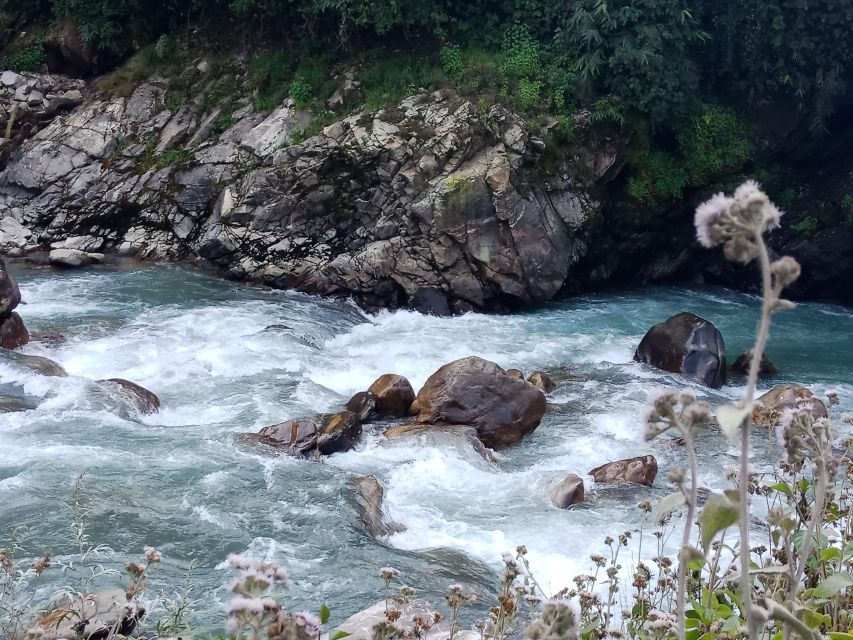Pokhara: 3-Day Ghorepani, Poon Hill and Ghandruk Guided Trek - Day one: Pokhara to Ghorepani through rhododendron forest