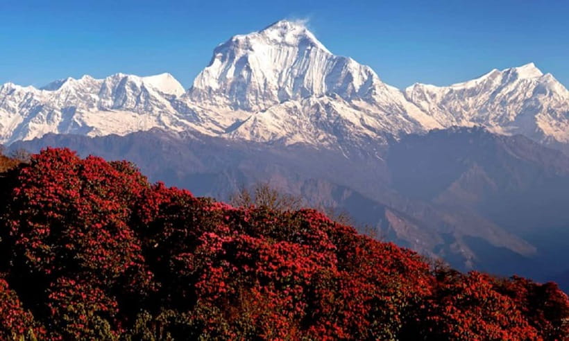 Pokhara: 3-Day Ghorephani and Poon Hill Private Trek - The guides make the biggest practical difference