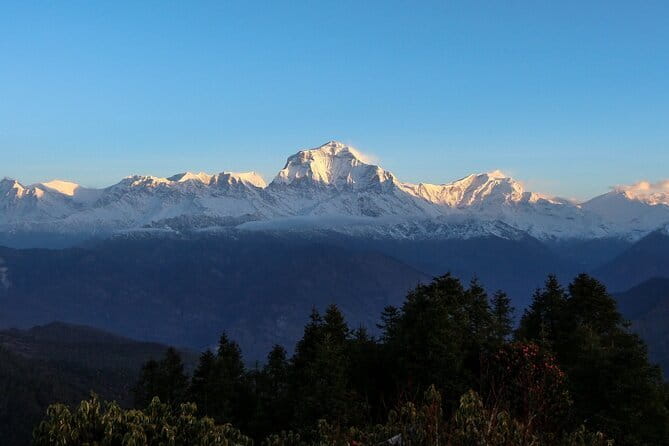 Pokhara 3 Days Ghorepani and Poon Hill Private Trek via Ghandruk - The value of a private guide