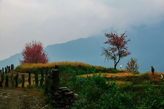 Pokhara 3 Days Ghorepani and Poon Hill Private Trek via Ghandruk - Fitness, stairs, and altitude