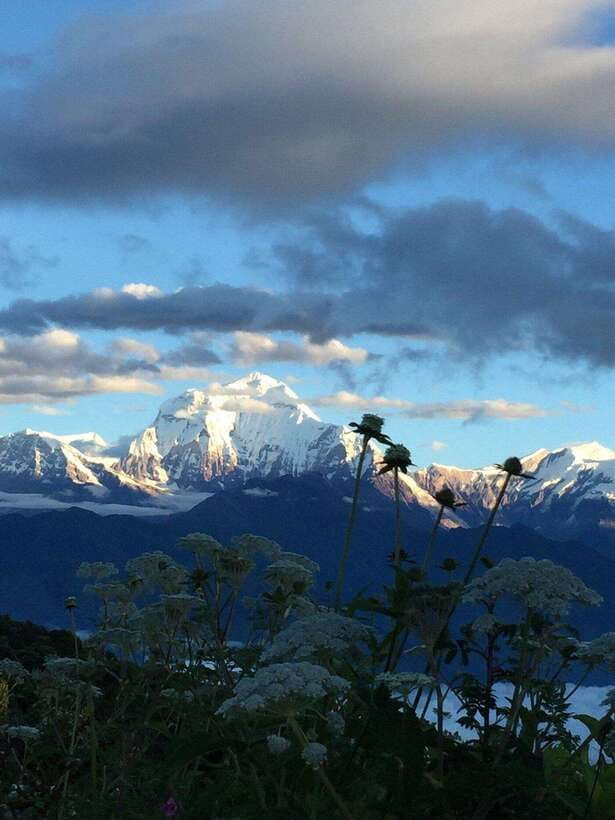 Pokhara: 3 days Trek to Poon hill - Ulleri to Ghorepani through oak and rhododendron forest