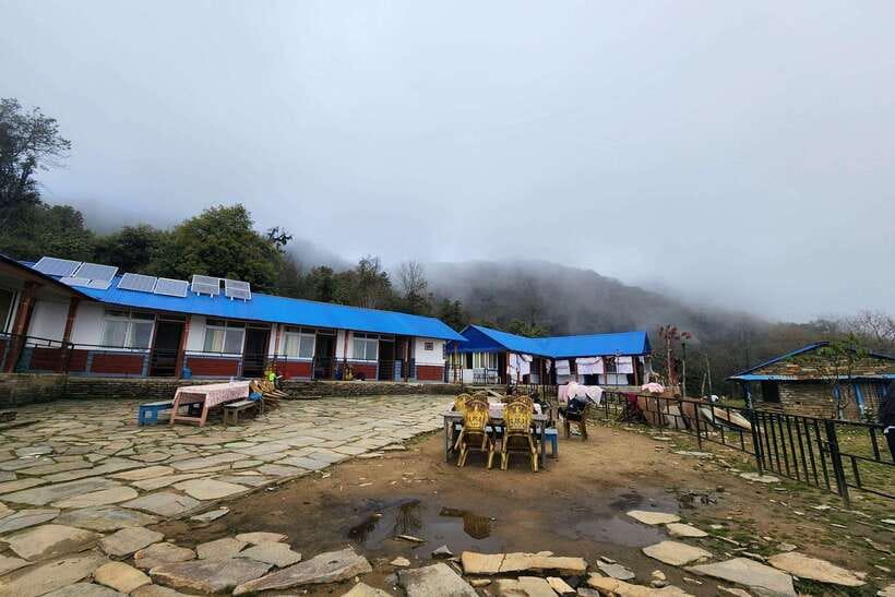 Pokhara: 4-Day Mardi Himal Trek - Day 3: Sunrise viewpoint, optional Base Camp, and the return