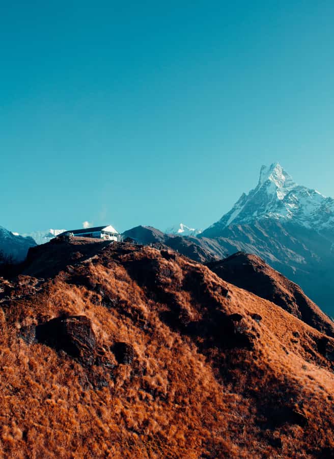 Pokhara: 4-Day Mesmerizing Mardi Himal Guided Trek - Who should choose this trek