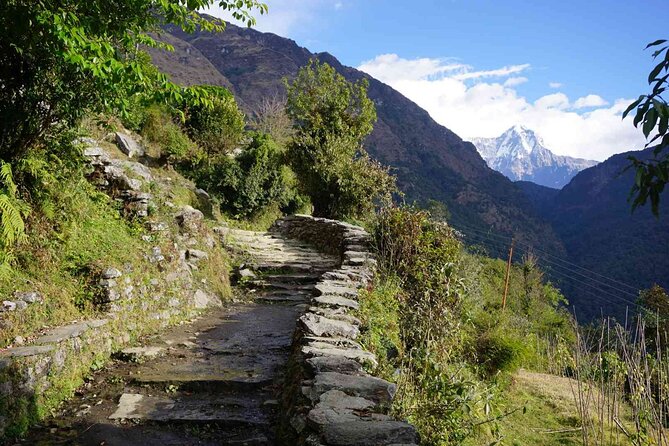 Pokhara: 4 Day Poon Hill Trek - Why this short trek works from Pokhara