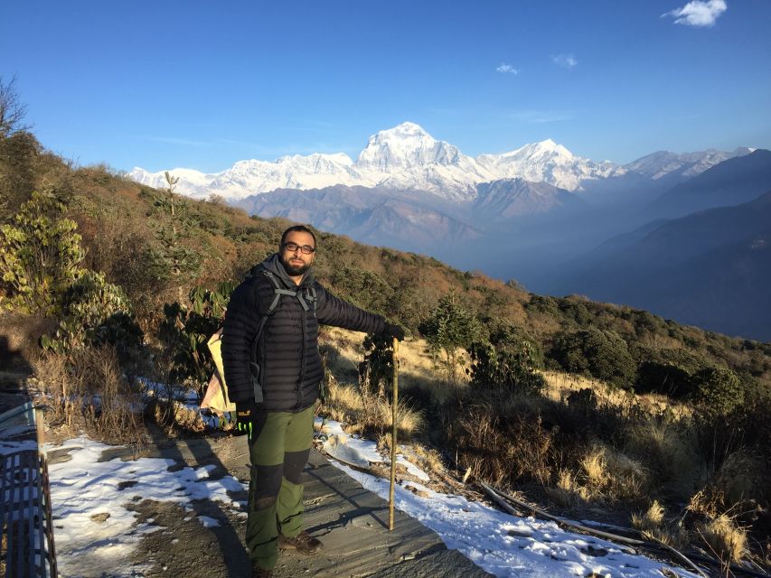 Pokhara: 4-Day Private Trek Tour - Day 2: Rhododendron forest and the climb to Ghorepani