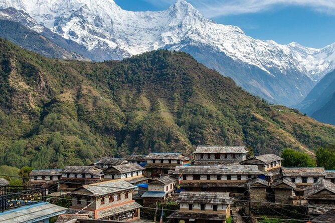 Pokhara: 4 Days Poon Hill and Ghandruk Trek - What the reviews reveal about the actual experience