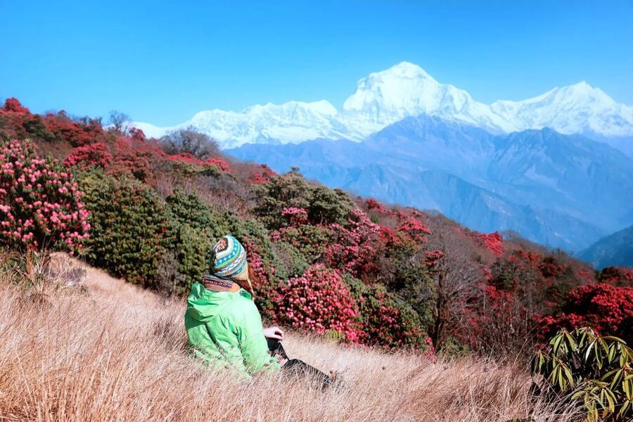 Pokhara: 5-Day Ghorepani and Poon Hill Private Trek - What the $187 price covers, and what it does not