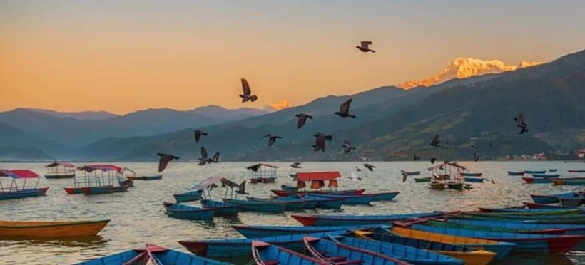 Pokhara: 5 Himalayan Viewpoints Guided Tour - What the private format really adds