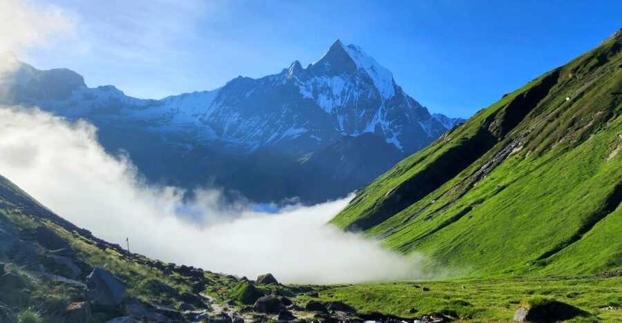 Pokhara: 9-Day Annapurna Base Camp Trek with Poon Hill - Day 2: The Ulleri staircase and Ghorepani