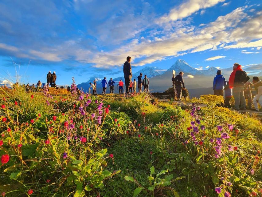 Pokhara: 9-Day Annapurna Base Camp Trek with Poon Hill - Day 5: Sinuwa to Deurali through thick forest