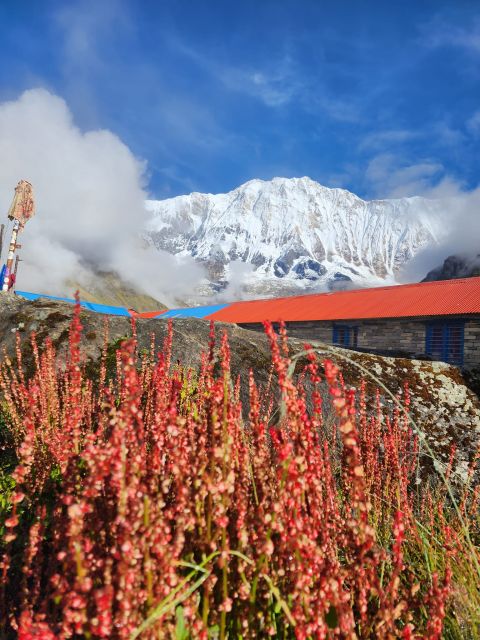 Pokhara: 9-Day Annapurna Base Camp Trek with Poon Hill - Day 7: The long descent from base camp to Bamboo