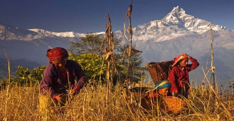 Pokhara: Annapurna Day Hike with Panoramic Views - Who will enjoy this hike most