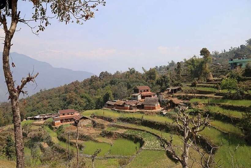 Pokhara: Annapurna Day Hike with Panoramic Views - A full day from Pokhara into the Annapurna foothills