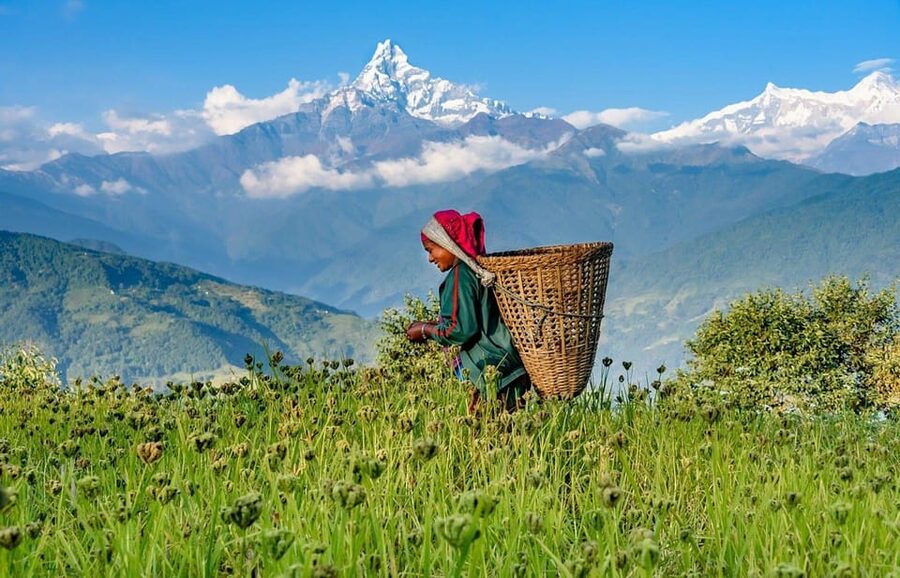 Pokhara: Annapurna Foothills Private Day Hike with Transfers - What the $39 price really covers