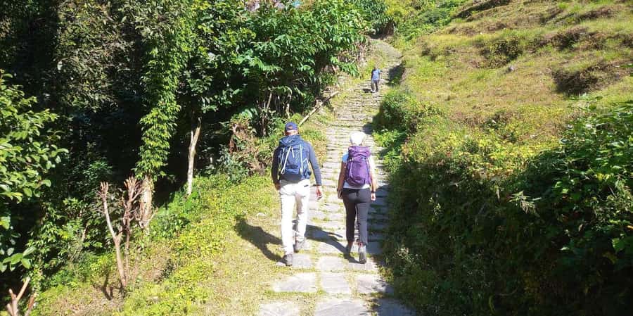 Pokhara: Day Hike to Australian Camp - Guide support, weather, and trail comfort