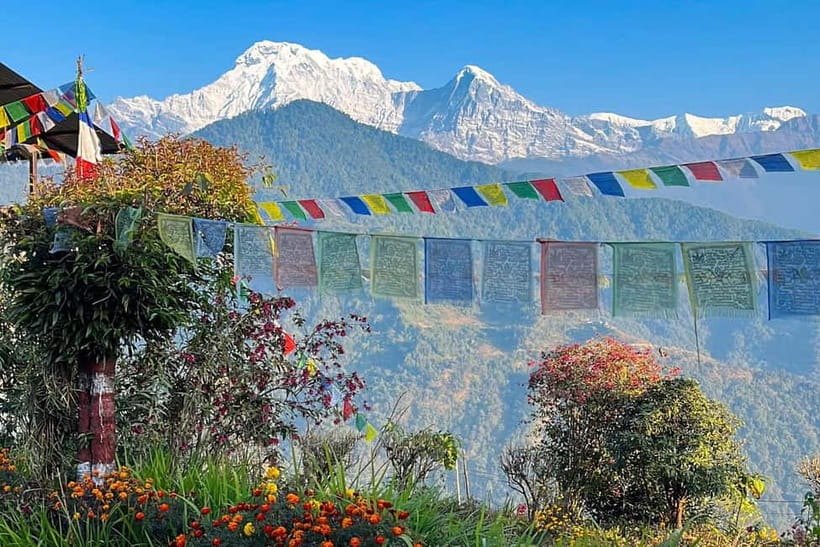 Pokhara: Day Hiking to Australian Base Camp with Lunch - Dhampus, Gurung culture, and a proper lunch break