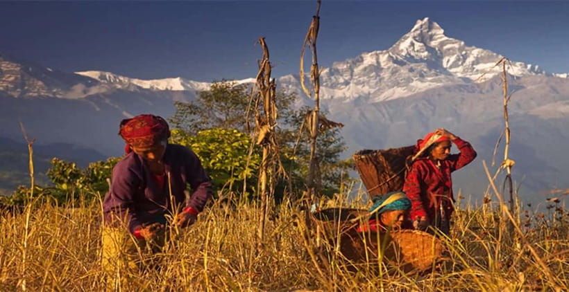Pokhara: Day Hiking to Australian Base Camp with Lunch - How to prepare for the walking day