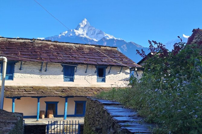 Pokhara: Easy Day Hike to Australian Camp & Dhampus Village - Walking onward toward Dhampus and Phedi