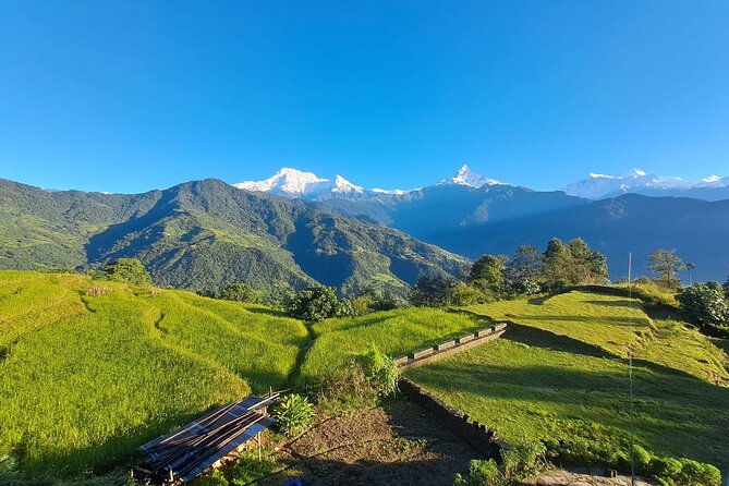 Pokhara: Easy Day Hike to Australian Camp & Dhampus Village - Is $58 a fair price from Pokhara?