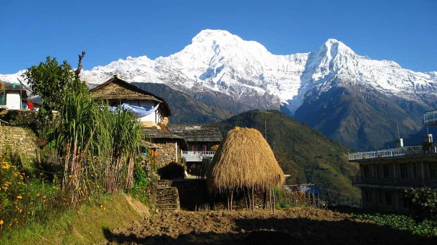 Pokhara: Guided Day Hike From Dampus To Australian Base Camp - Who Should Book This Hike