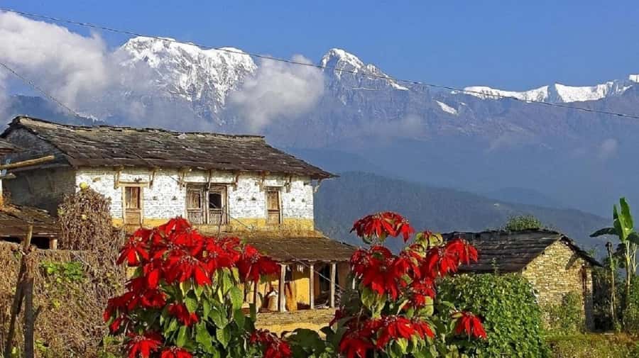 Pokhara: Guided Day Hike From Dampus To Australian Base Camp - Reaching Australian Camp At 2,100 Meters