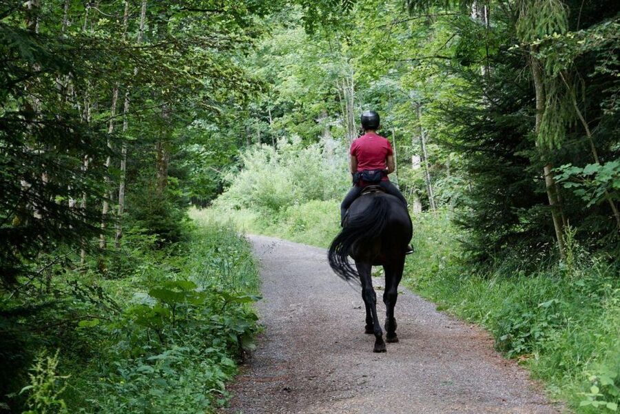 Pokhara: Horseback Adventure - Through the forest under broken sunlight