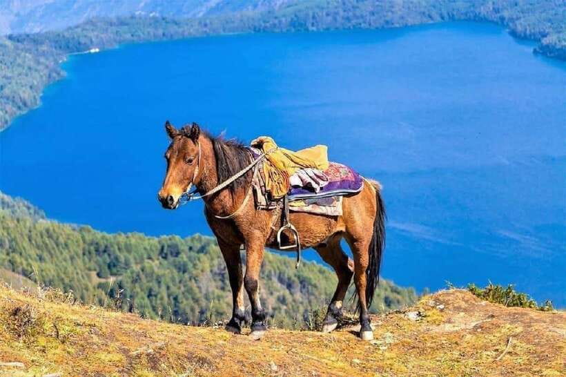 Pokhara: Horseback Riding Adventure with Hotel Pickup - Starting from Lakeside in Pokhara