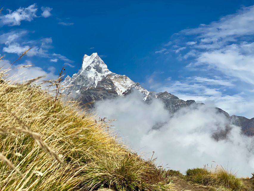 Pokhara: Majestic Mardi Base Camp Guided Trek with HotSpring - Day 5: Jhinu Village to Samrung and back to Pokhara