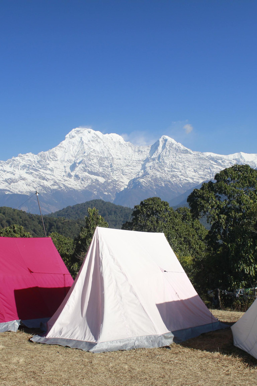Pokhara: One night camping, campfire stay at Australian camp - The return walk and trip back to Pokhara