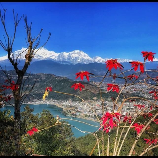 Pokhara: Pokhara Highlights Tour by Bus - A full day around Pokhara for $12