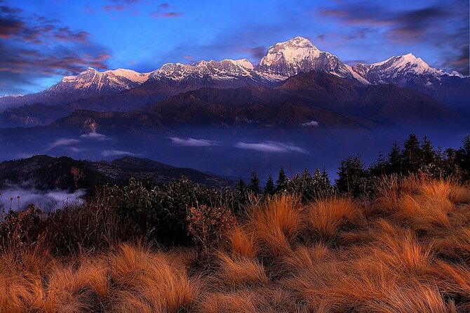 Pokhara: Poon Hill Ghorepani Short Trek - Permits and paperwork made simple