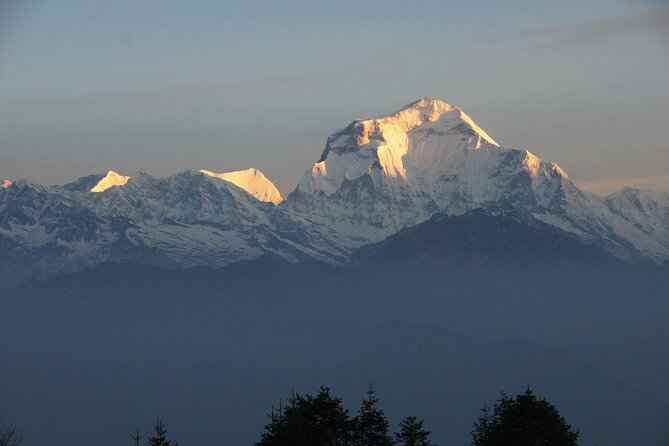 Pokhara: Poon Hill Ghorepani Short Trek - Food and guesthouse nights