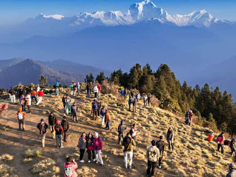Pokhara: Poon Hill Trek - Day two: Ulleri to Ghorepani through rhododendron country