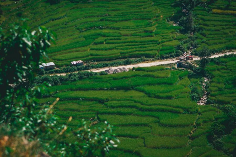 Pokhara: Suspension Bridge Private Tour- 30 Min Village Walk - Practical tips for a smoother visit