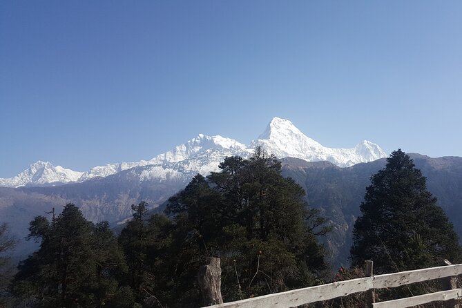 Poon hill Trek 3 days - Food, accommodation, and support on the trail