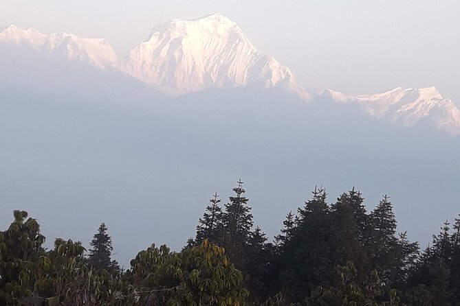 Poon hill Trek 3 days - Mountain villages, rhododendrons, and the walk itself