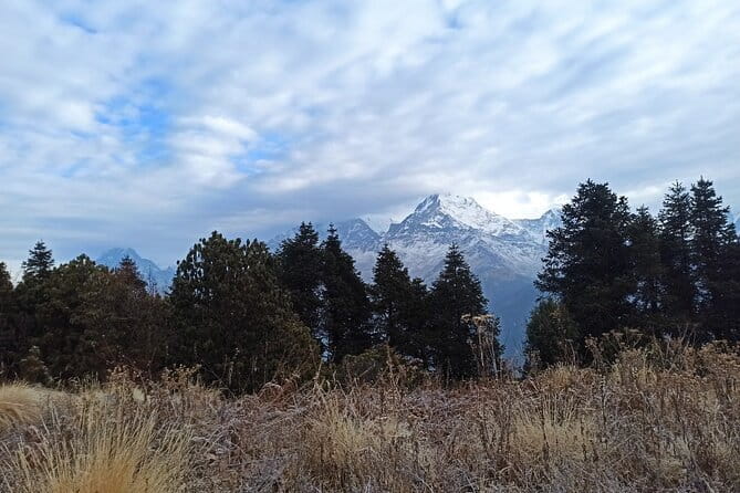 Poon Hill Trek from Pokhara 4 Days - Day 2: Ulleri to Ghorepani through Magar country