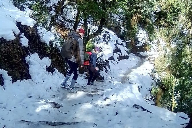 Poon Hill Trek package - What the $405 package really covers