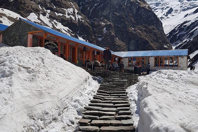 Private 7 - Day Annapurna Base Camp Trekking - Day one: road transport and first views near Chhomrong