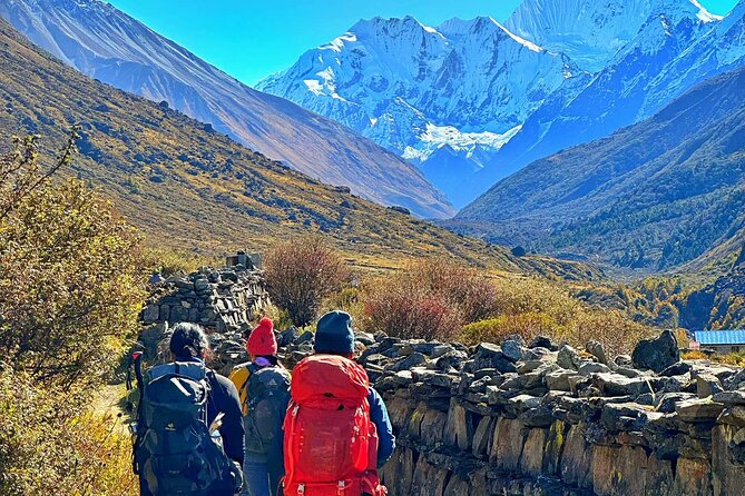 Private 8 - Day Langtang Trekking - Day 5: Kyanjin village and Kyanjin Ri