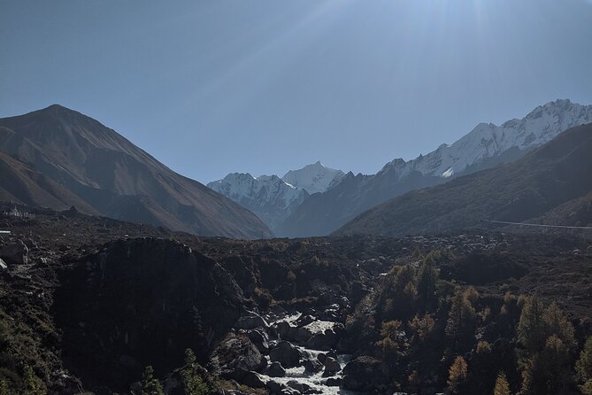Private 8 - Day Langtang Trekking - Days 6 and 7: Returning through the forest to Syabrubesi