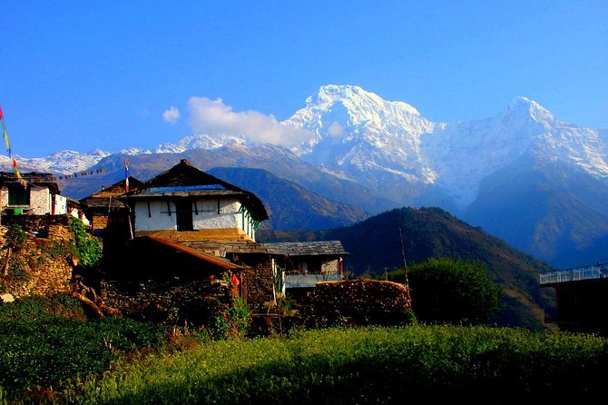 Private Full-Day Hike in the Annapurna Foothills in Pokhara - From Lakeside Pokhara to Phedi by private vehicle